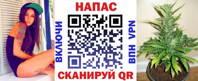 Канабис индика  Губаха 